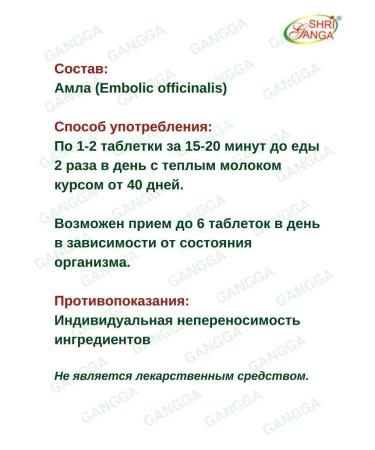 Shri Ganga Amla Amla Sri Ganges 3x200 tab - Buy Online on GoSupps.com