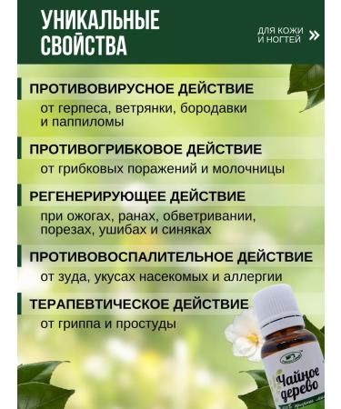 Springs of Siberia Tea oil 30 ml A7 - Buy Online on GoSupps.com