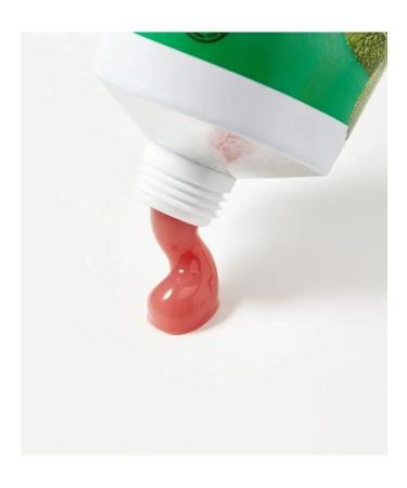 WELEDA Plant toothpaste-gel on herbs 75ml - Buy Online on GoSupps.com