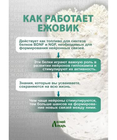 Forest healer Ezhovik Channel Mycelium Capsules 200pcs - Buy Online on GoSupps.com