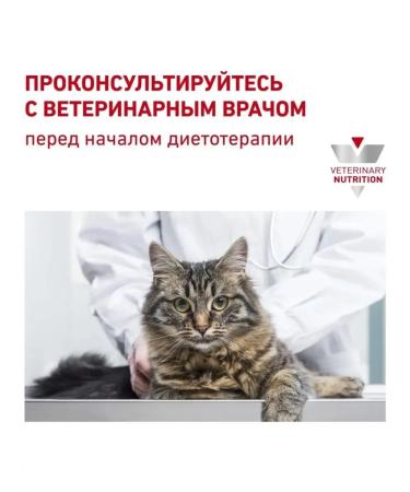 ROYAL CANIN Cat food for dry urinaries s o 1.5 kg - Buy Online on GoSupps.com