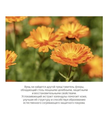 WELEDA Milk with a calendula 200 ml (children's series with calendula) - Buy Online on GoSupps.com