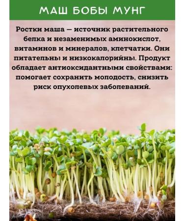 DONA NUTS Mash Krupa for germination 700g. Bobs Mung - Buy Online on GoSupps.com