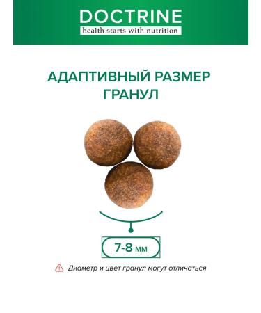 DOCTRINE Dry food for dogs of small rocks with venison 800 g - Buy Online on GoSupps.com