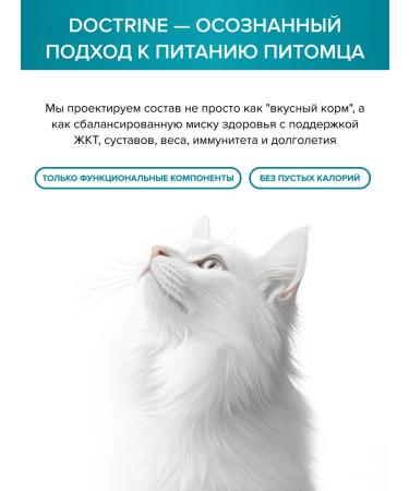 DOCTRINE Feed for sterilized cats dry 3 kg - Buy Online on GoSupps.com