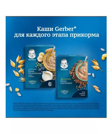 Gerber Silent oatmeal porridge from 5 months 180 g 2 pcs - Buy Online on GoSupps.com