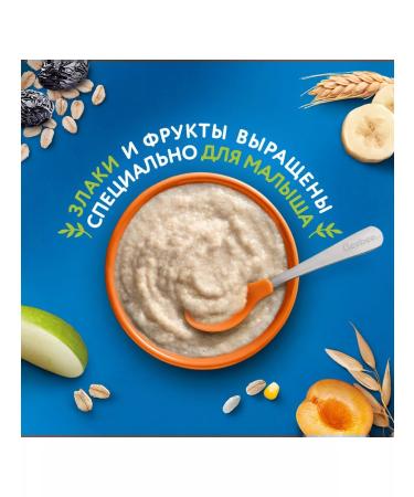 Gerber Porridge-free oat oatmeal pumpkin-apricot 180g 2 pcs - Buy Online on GoSupps.com