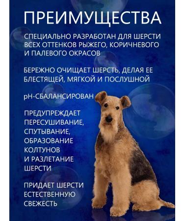 BioGroom Red and brown color shampoo concentrate 1 8 - Buy Online on GoSupps.com