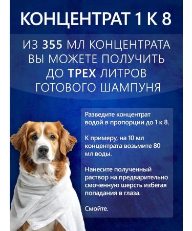 BioGroom Red and brown color shampoo concentrate 1 8 - Buy Online on GoSupps.com