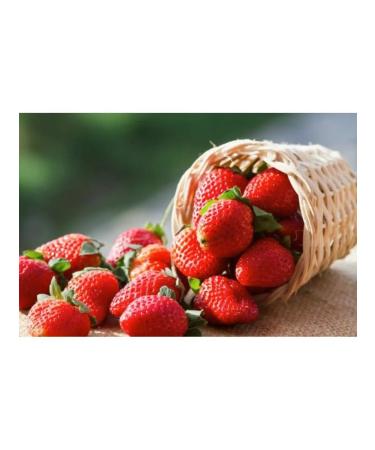 Trading House Kosenkov Strawberry pastille without sugar fruit natural200gr - Buy Online on GoSupps.com