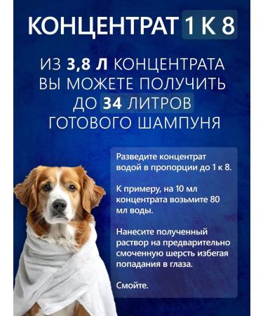 BioGroom Super White shampoo concentrate 3.8 l - Buy Online on GoSupps.com