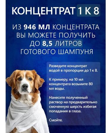 BioGroom Shampoo for dogs of light colors concentrate 1 8 - Buy Online on GoSupps.com