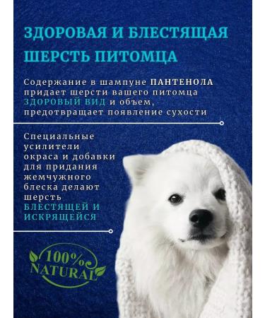 BioGroom Shampoo for dogs of light colors concentrate 1 8 - Buy Online on GoSupps.com