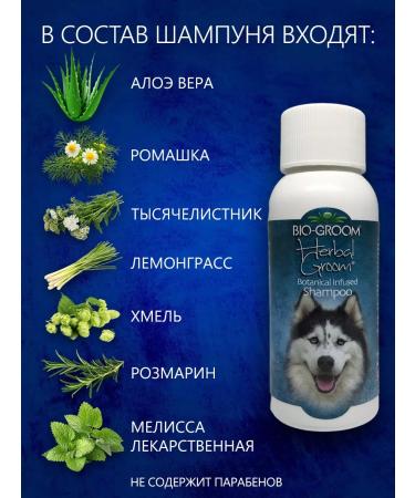 BioGroom Herbal Gromo dog shampoo - Buy Online on GoSupps.com