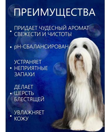 BioGroom Deodorizing shampoo for dogs Grom'n Fresh 59 ml - Buy Online on GoSupps.com