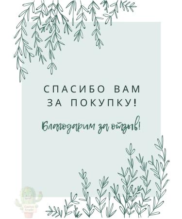 BaktoBliss Baktoblis+ live probiotic bacteria immunity 30tab - Buy Online on GoSupps.com