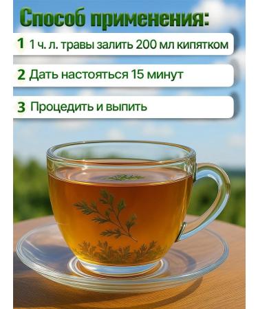 Eco Forest Trochita from parasites and worms Russian 50g - Buy Online on GoSupps.com