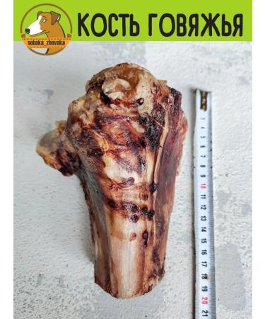 chewing dog Bone bone for dogs large 2pcs - Buy Online on GoSupps.com