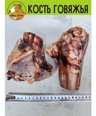 chewing dog Bone bone for dogs large 2pcs - Buy Online on GoSupps.com