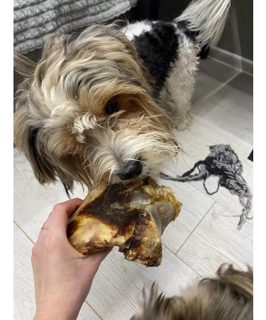 chewing dog Bone bone for dogs large 2pcs - Buy Online on GoSupps.com