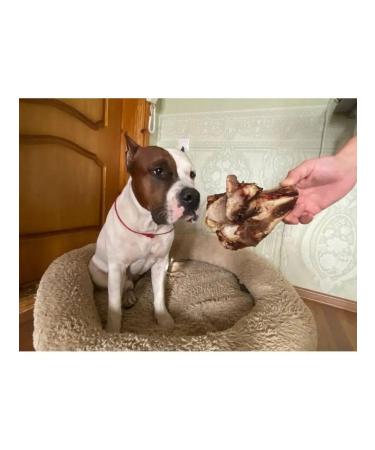chewing dog Bone bone for dogs large 2pcs - Buy Online on GoSupps.com