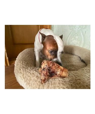 chewing dog Bone bone for dogs large 2pcs - Buy Online on GoSupps.com