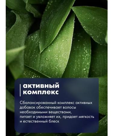 POINT Shampoo for hair tint 10.7 sand 300 ml 2 pcs - Buy Online on GoSupps.com