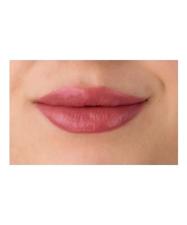 LavelleCollection Lipstick cream 05 dusty rose - Buy Online on GoSupps.com