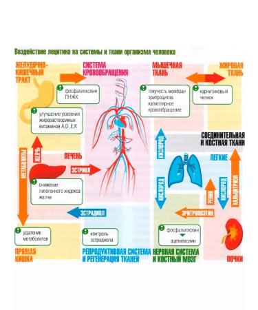 RichWay Lecithin our soy now now for children and adults - Buy Online on GoSupps.com