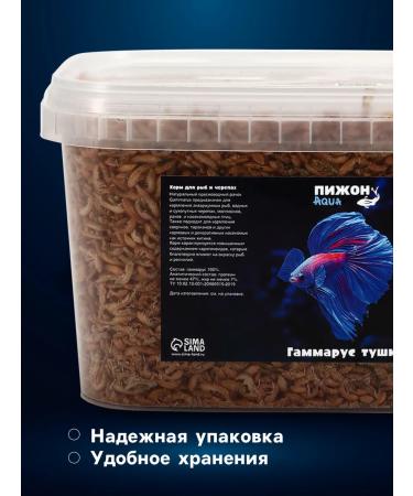 Pizhon Aqua Gammarus food for aquarium fish and turtles 100 g - Buy Online on GoSupps.com