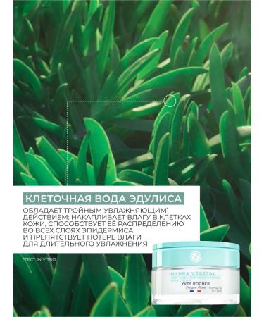 Yves Rocher Saturated face cream Intensively moisturizing 48 hours - Buy Online on GoSupps.com