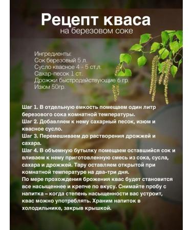 Polotsk drinks and concentrates Kvass wort concentrate 1.3 kg - 4pcs - Buy Online on GoSupps.com