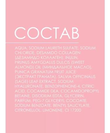 Camay Liquid soap pomegranate flowers 280ml 2pcs - Buy Online on GoSupps.com