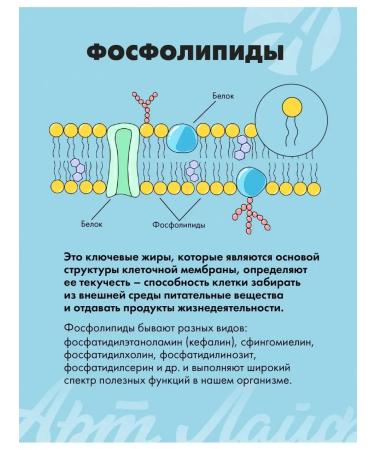 Art Life Lecin-gel with vitamins - Buy Online on GoSupps.com