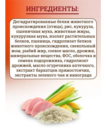 ROYAL CANIN Dry food for dogs 4 kg - Buy Online on GoSupps.com