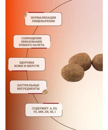 ROYAL CANIN Dry food for dogs 4 kg - Buy Online on GoSupps.com