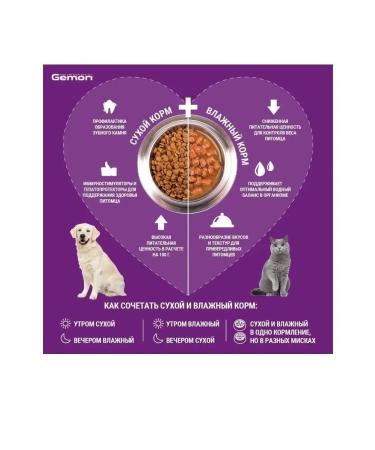 Gemon Feed for dogs of all breeds with lamb and rice 3kg - Buy Online on GoSupps.com