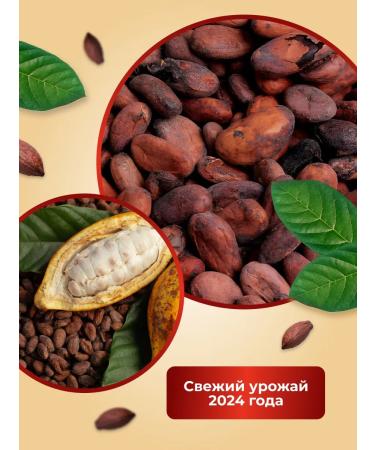 greenformula Cocoa -natural natural without sugar 100 g - Buy Online on GoSupps.com