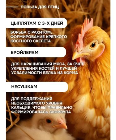 KRUPOVICHOK Marine shell for chickens and birds 10 kg - Buy Online on GoSupps.com