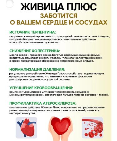 Harmony of Health Zhivitsa Plus with a quick for the liver 90 capsules - Buy Online on GoSupps.com