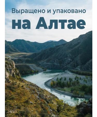 ShroomRoom Ezhovik Combus capsules of mycelium - Buy Online on GoSupps.com