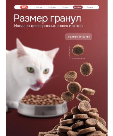 BLITZ Cat food dry 0.4 kg with chicken - Buy Online on GoSupps.com