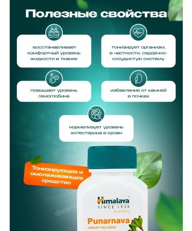 Himalaya Herbals PUNARNAVA Punarnava Treatment of the Himalaya liver kidneys 60Tab - Buy Online on GoSupps.com