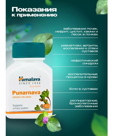 Himalaya Herbals PUNARNAVA Punarnava Treatment of the Himalaya liver kidneys 60Tab - Buy Online on GoSupps.com