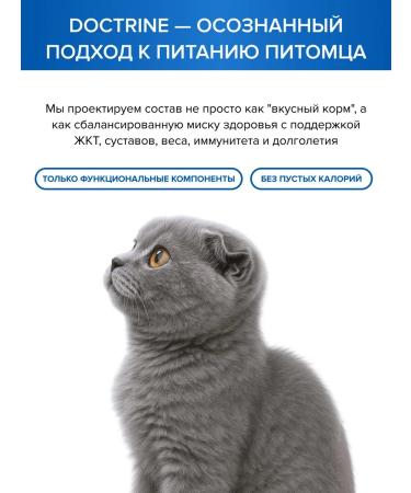 DOCTRINE Feed for sterilized cats salmon white fish 10 kg - Buy Online on GoSupps.com