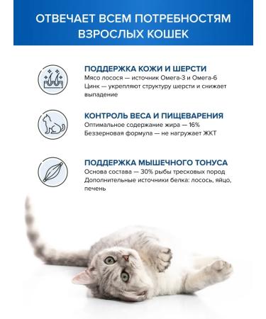 DOCTRINE Feed for sterilized cats salmon white fish 10 kg - Buy Online on GoSupps.com