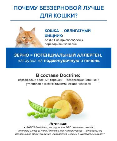 DOCTRINE Feed for sterilized cats salmon white fish 10 kg - Buy Online on GoSupps.com