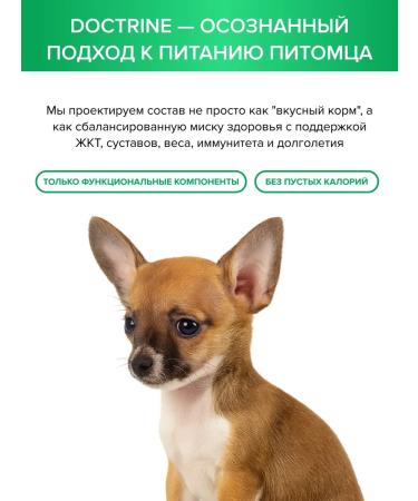 DOCTRINE Dry food for small breed puppies 8 kg - Buy Online on GoSupps.com