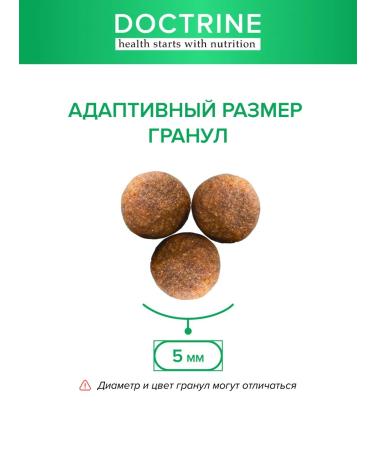 DOCTRINE Dry food for small breed puppies 8 kg - Buy Online on GoSupps.com
