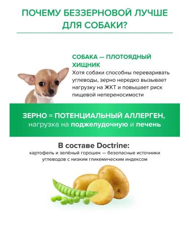 DOCTRINE Dry food for small breed puppies 8 kg - Buy Online on GoSupps.com